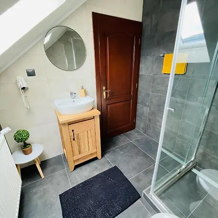 Bed & Breakfast Pensiunea Alszegi Panzio (adults Only) *